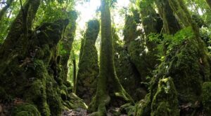 Biósfera Cielo Tamaulipas