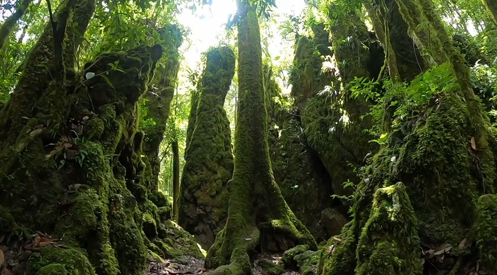 Biósfera Cielo Tamaulipas
