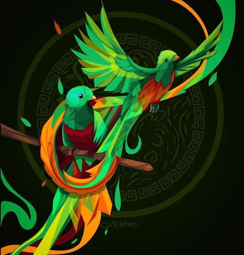 Quetzal Mexicano Significado- Ilustración @hidrock