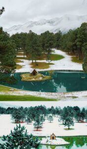 Bosques de México, Suizas Mexicanas Arteaga, Coahuila