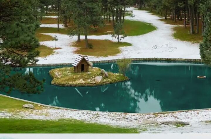 Bosques de México, Suizas Mexicanas Arteaga, Coahuila
