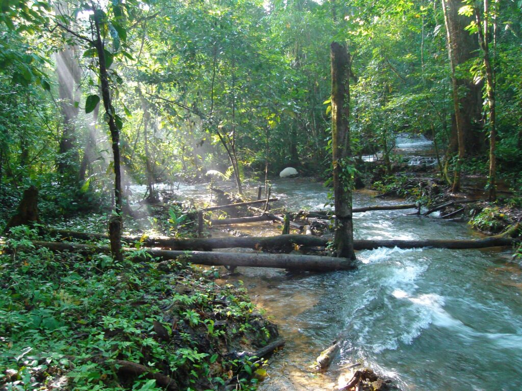 Cruce de ríos cercanos a los campamentos Lacandones.