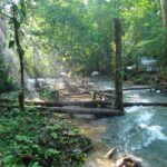 Diferencias entre la Selva Lacandona y la Selva Maya: Tesoros del Sur